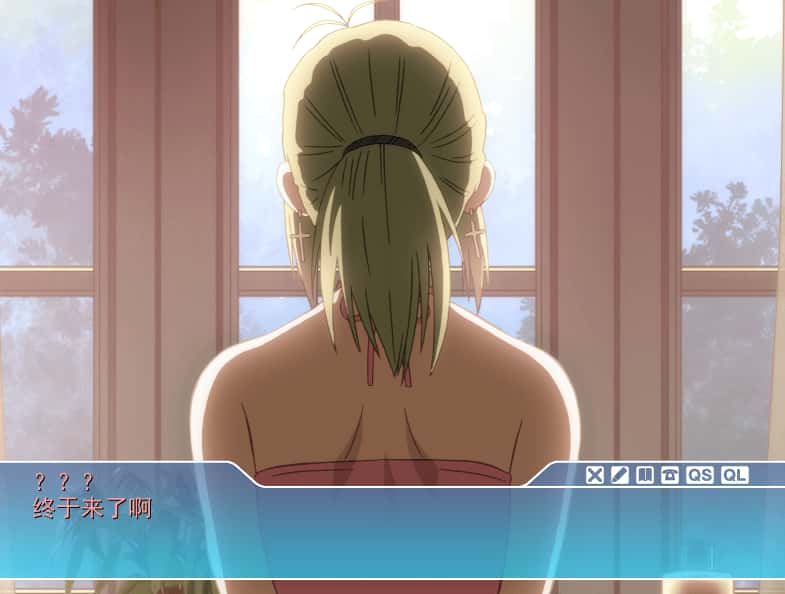PC/ADV SISTERS：夏日最后一天～Ultra Edition 6.6G全息投影